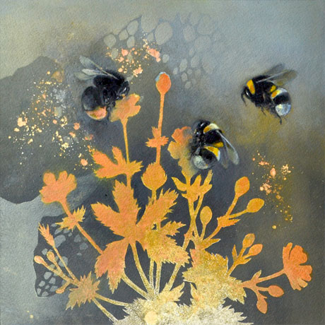 Louise Bird
